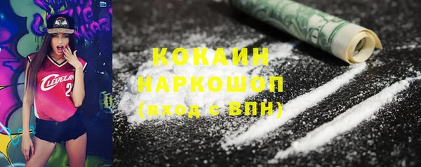 твердый Алексин